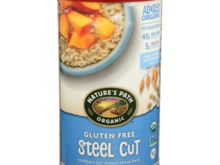 Nature s Path Oats Gluten-Free Steel Cut Organic 30 OZ - Pack of 6 Online