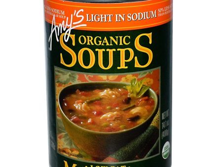 Amy s - Organic Soup Minestrone Light In Sodium, 14.1 Oz | Pack Of 12 Online now