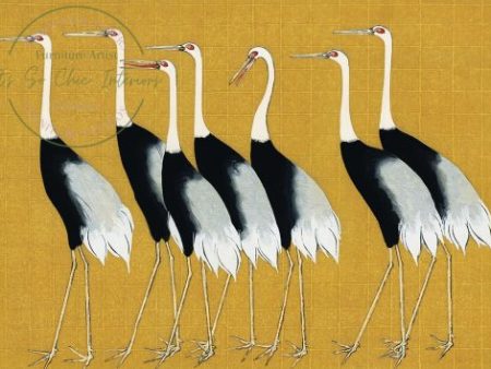 Leggy Cranes Fashion