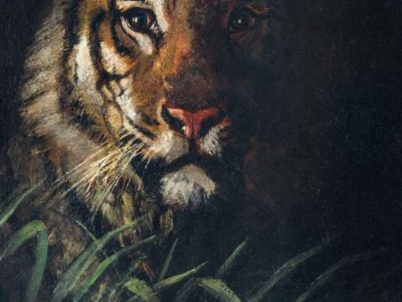 Tiger’s Head by Abbott Handerson Thayer on Sale