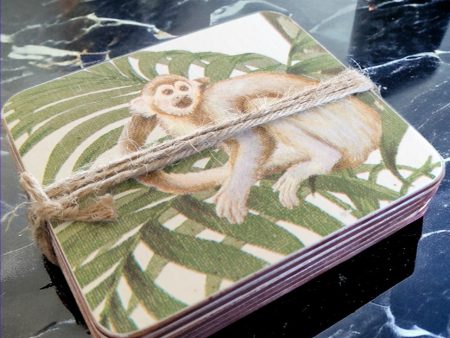 Jungle Monkey Coasters (6 pack) Online now