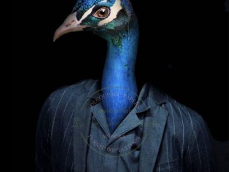 Mr Peacock Online now