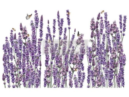 Champ De Lavende - Redesign Transfer Online