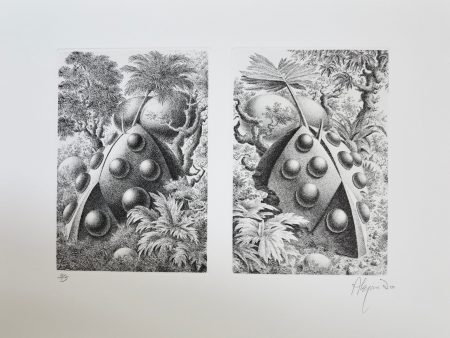 Ramon Alejandro - Double forest creation Online now