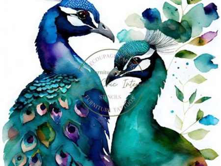 A2 Watercolour Peacocks Online